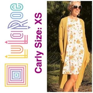 Lularoe Disney Miss Piggy Muppets High Low Sz XS